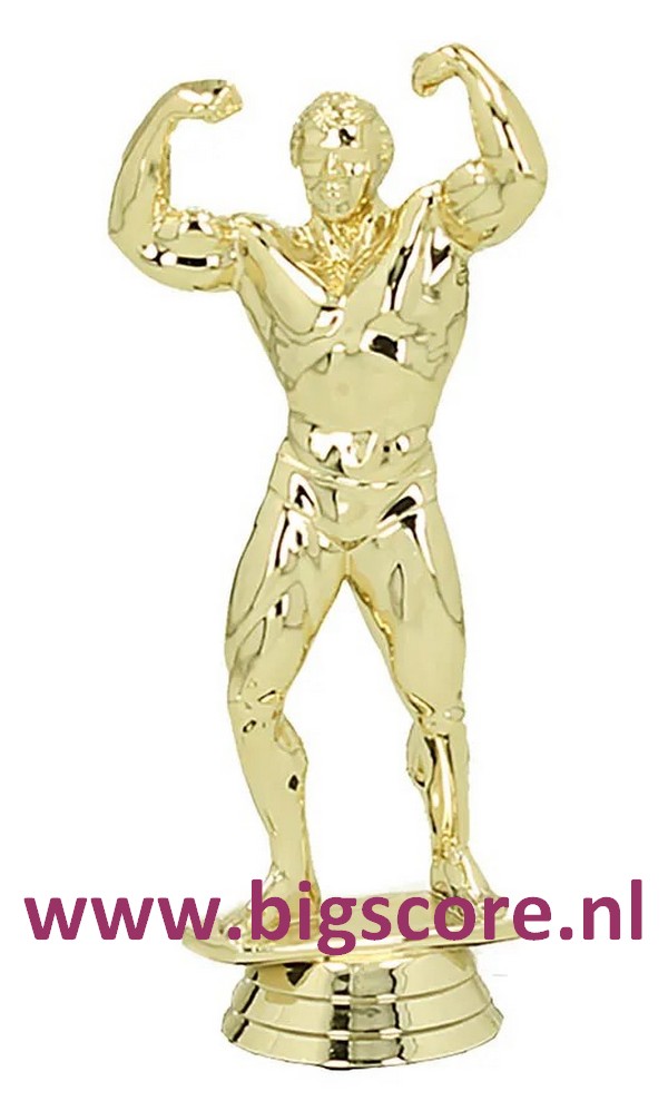 Bodybuilder Heer Figuur 400 Goud